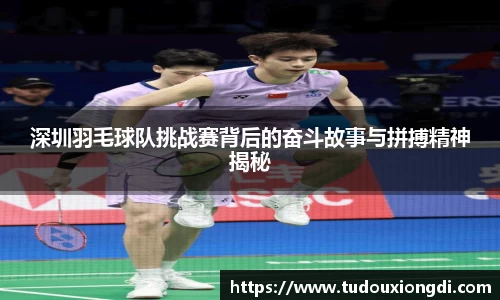 深圳羽毛球队挑战赛背后的奋斗故事与拼搏精神揭秘