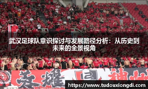 武汉足球队意识探讨与发展路径分析：从历史到未来的全景视角